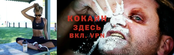 молекула духа Дмитров