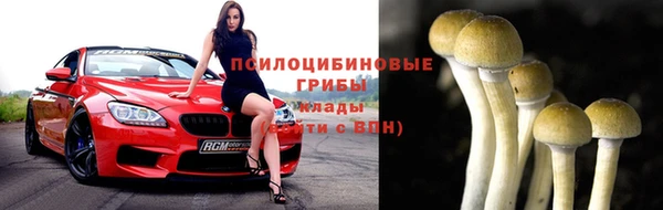 спиды Дмитровск