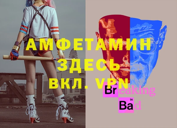 молекула духа Дмитров