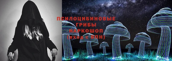 спиды Дмитровск